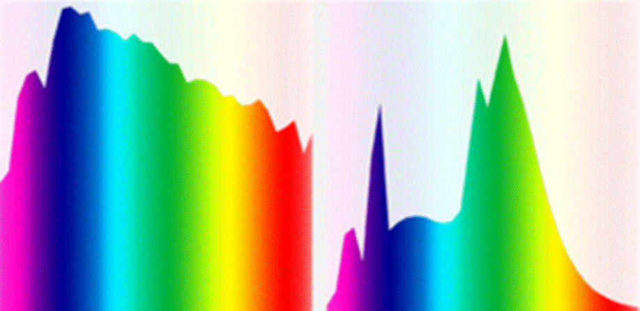 LL sunlight spectrum