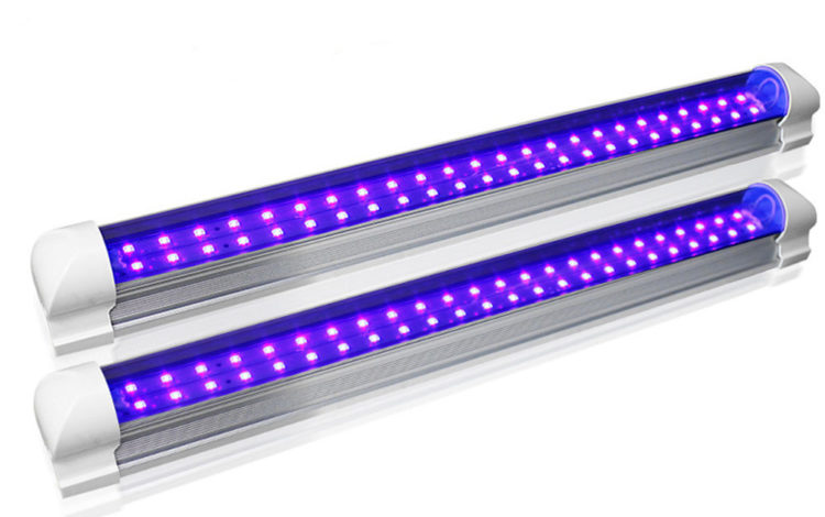 Bactericidal LEDs