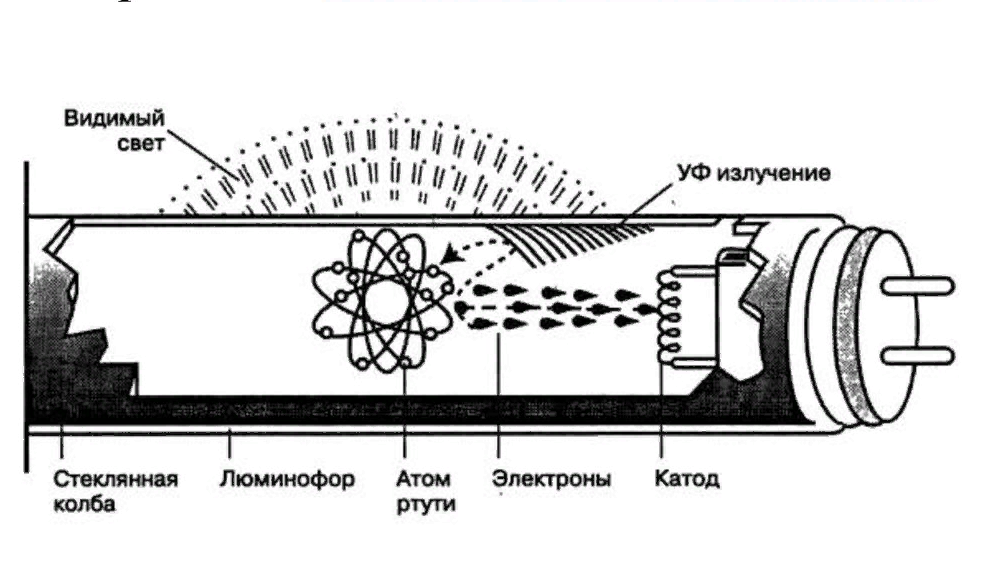 Struktura LL