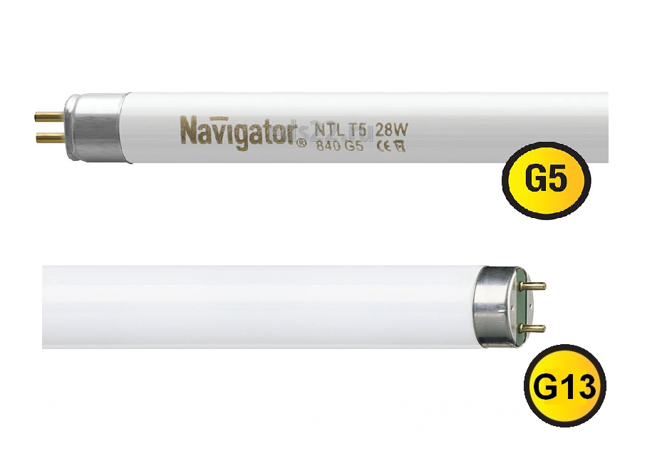 Base comparison G13 vs. G5