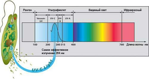 Démonstration illustrative de la portée effective des ondes.