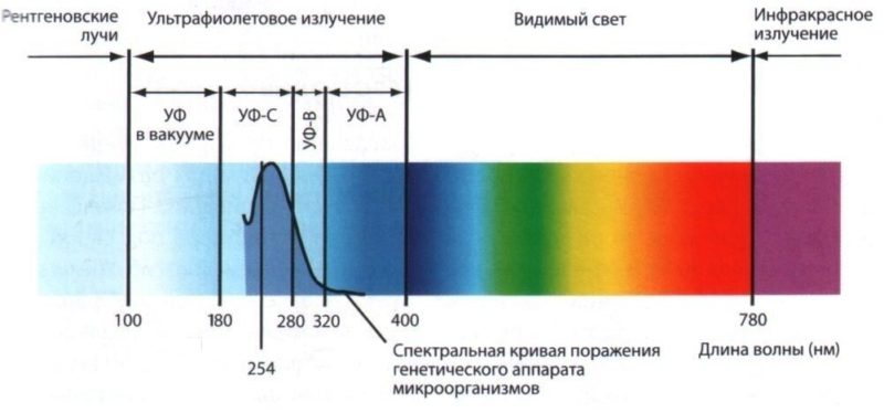 le spectre ultraviolet.