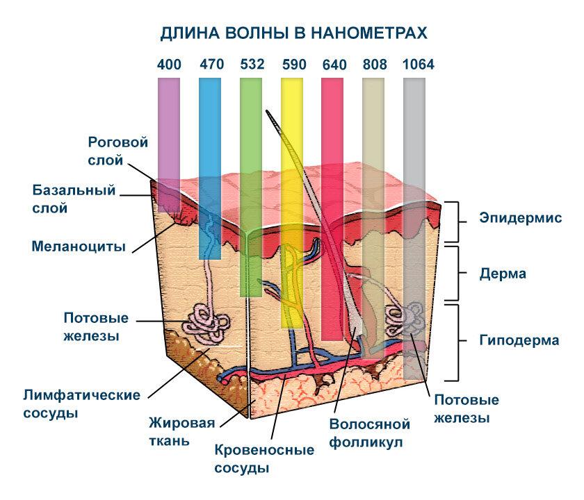 Features of the blue warming lamp