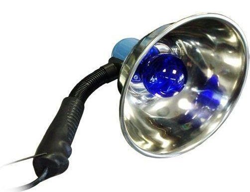 Features of the blue lamp for warming