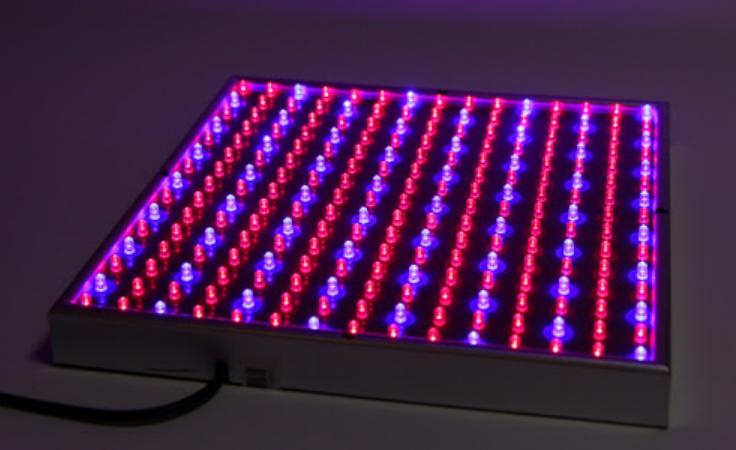 se compose de LEDs bleues et rouges.