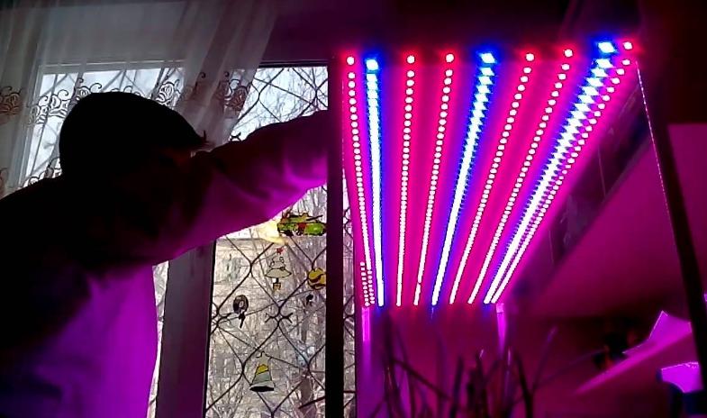 Comment fabriquer votre propre phyto-lampe pour plantes