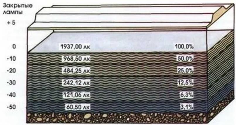 With increasing depth, the light intensity drops a lot.