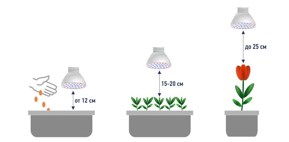 Tips for determining the height of light fixtures