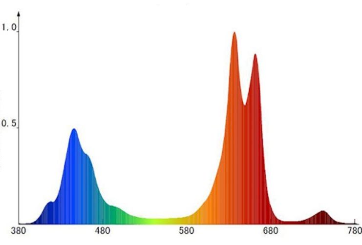 Spectrogramme sur l'emballage