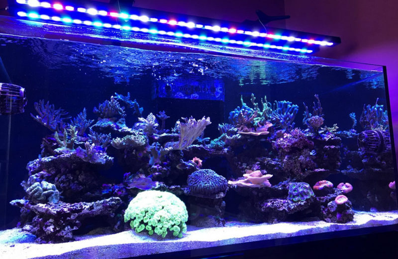 How to make LED light the aquarium with LED strip