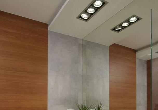 Ceiling Light Features