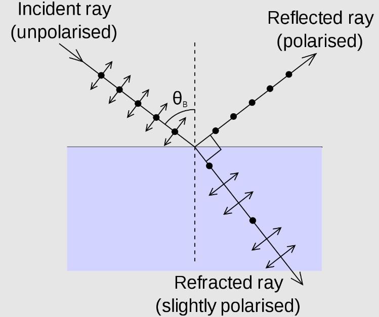 What is light polarization and its practical application