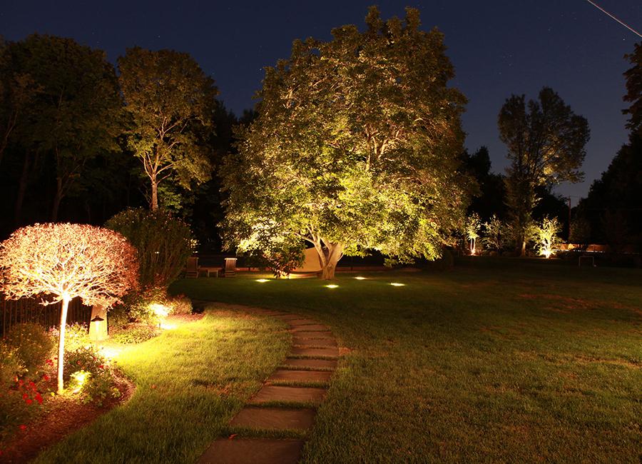 Using lighting in landscape design