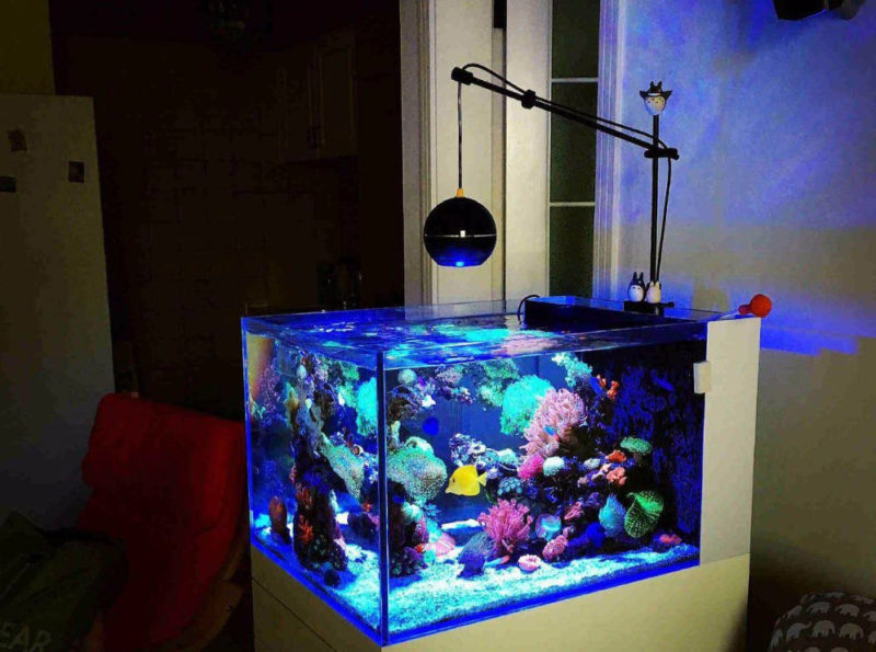 How to make LED lighting in an aquarium