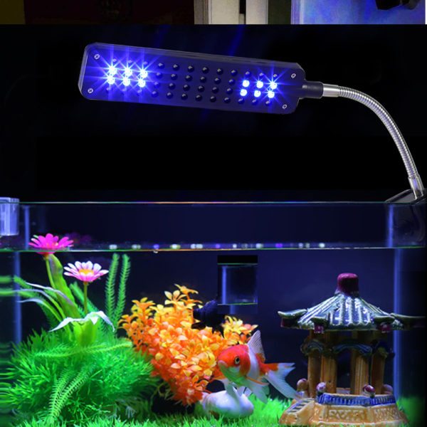 Comment réaliser un éclairage LED dans un aquarium