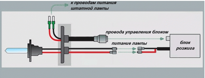 How to Independently Install Xenon Lamps